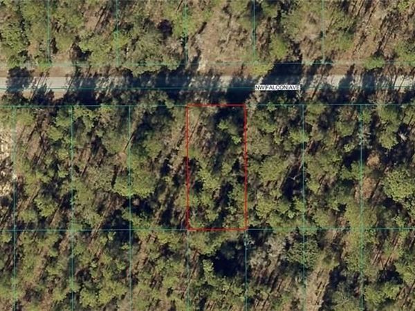 1814-022-016 NW Falcon AVE , DUNNELLON, FL 34431