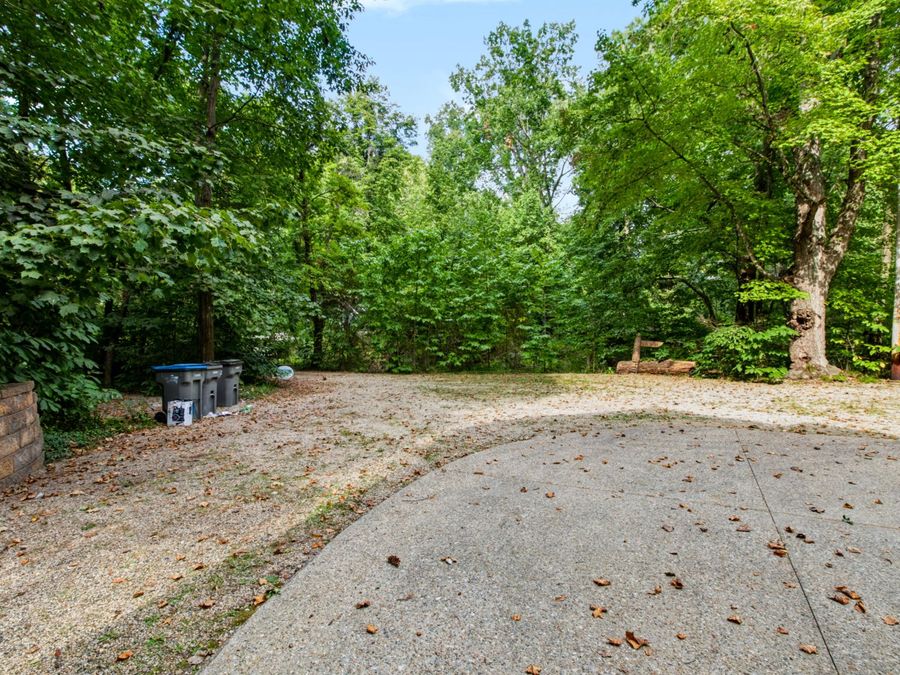 Property Image 63
