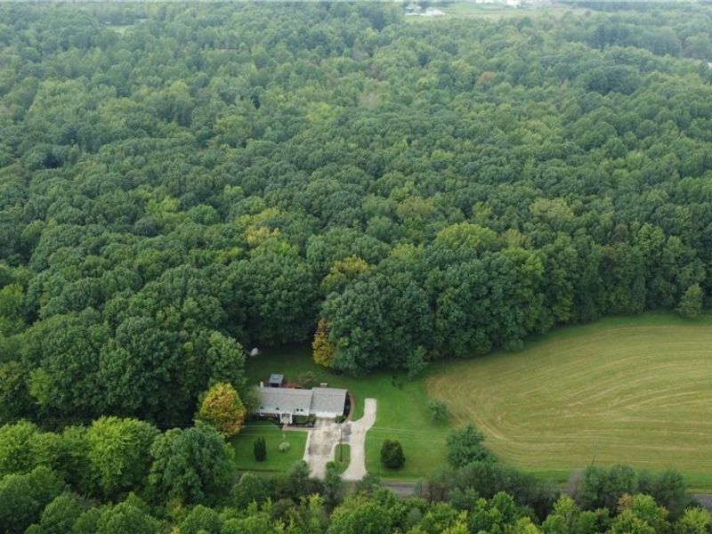 919 Horton Road, Conneaut, OH 44030 Photo 11