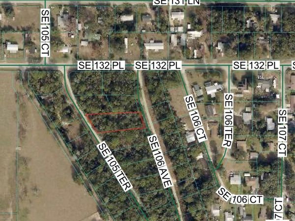 SE 105TH TERRACE , OCKLAWAHA, FL 32179