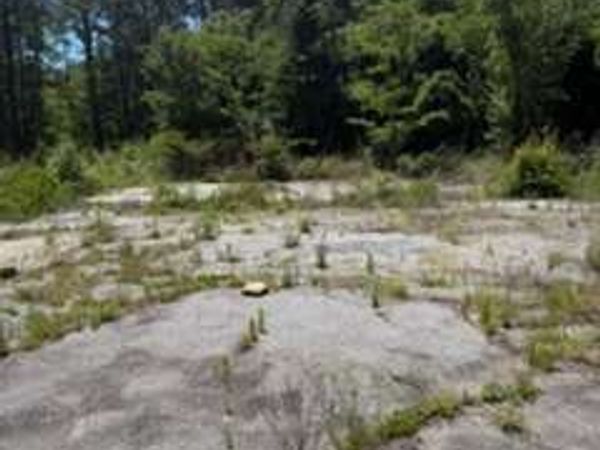 2137 Joy Lake Road, Morrow, GA 30260