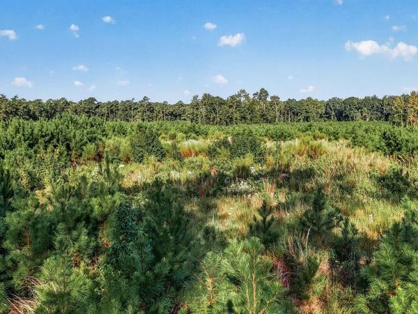 TBD Albatross Rd , Georgetown, SC 29440