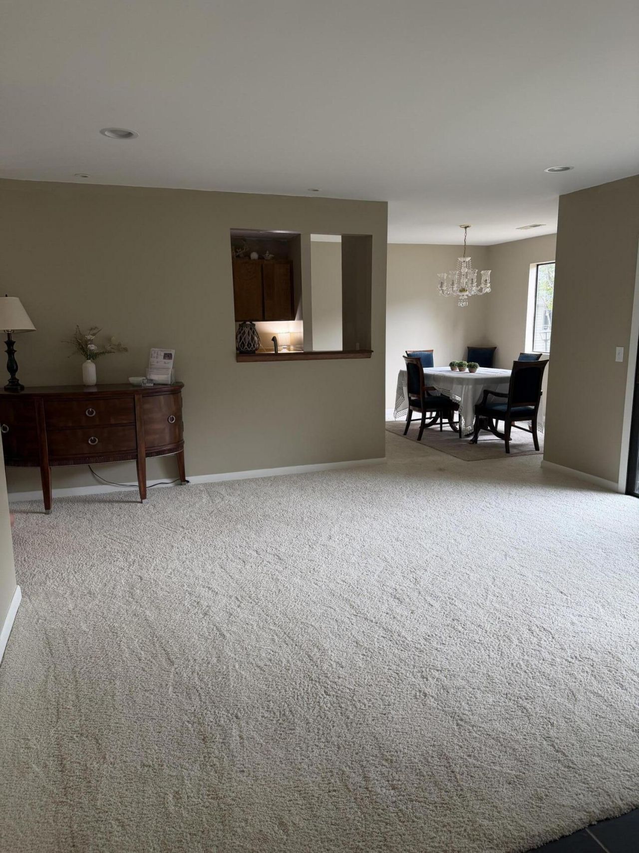 1203 Village Creek Lane Photo 24