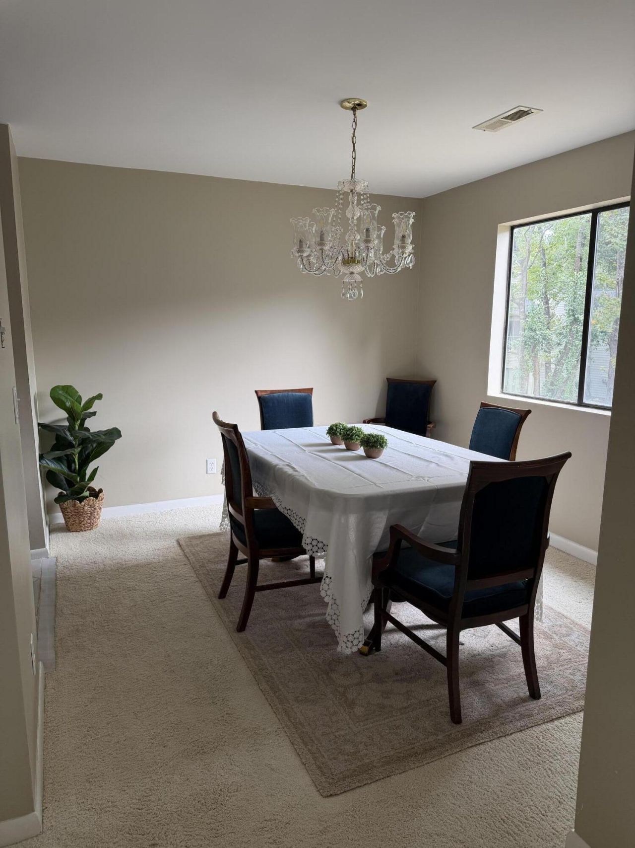 1203 Village Creek Lane Photo 26