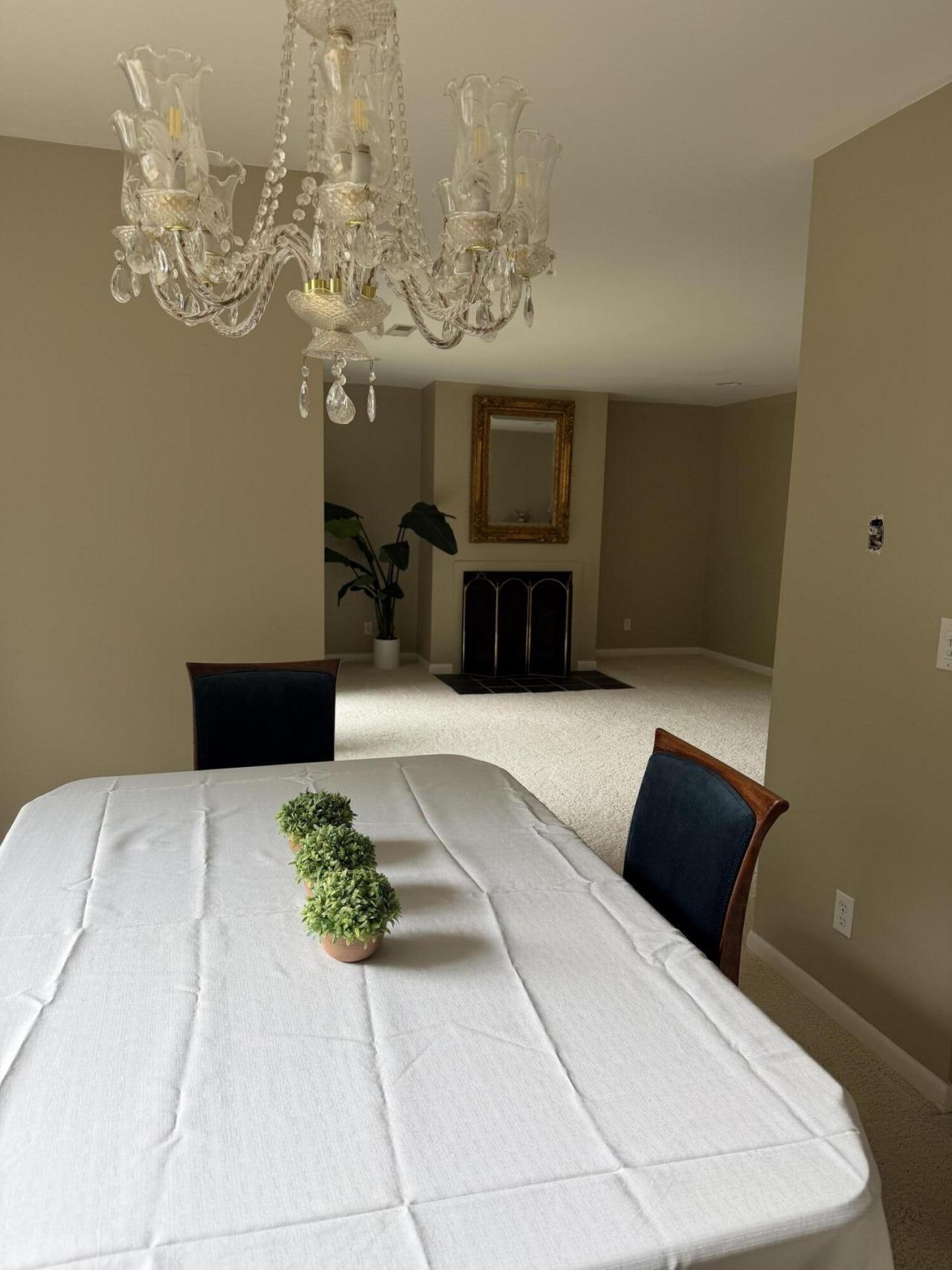 1203 Village Creek Lane Photo 27