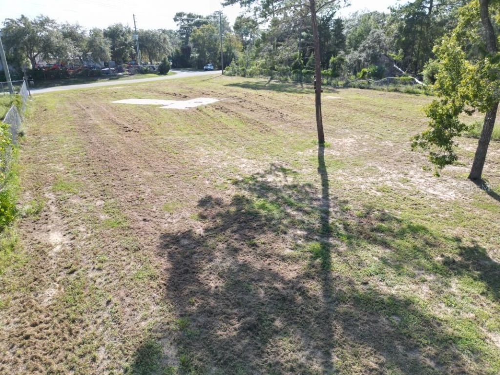 Brandy Drive , Spring Hill, FL 34607 Photo