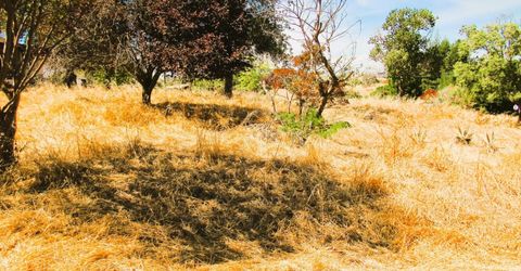 3390 Flint Trl, Ione, CA 95640 Photo