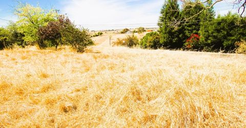 3390 Flint Trl, Ione, CA 95640 Photo