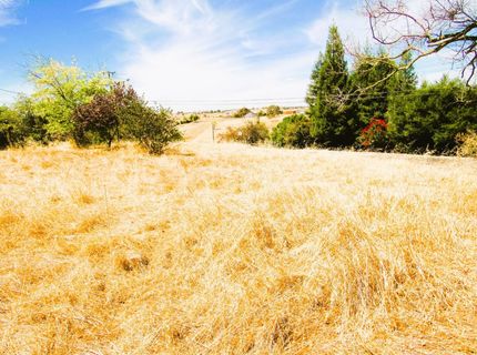 3390 Flint Trl, Ione, CA 95640 Photo