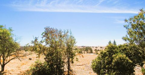 3390 Flint Trl, Ione, CA 95640 Photo