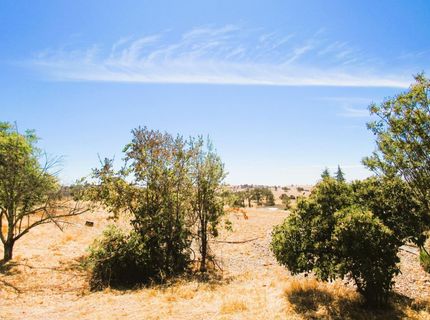 3390 Flint Trl, Ione, CA 95640 Photo