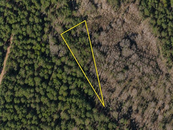 TBD Gibson Rd. , Greeleyville, SC 29056