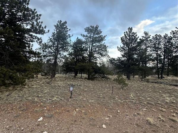 72 Sulky Court, Hartsel, CO 80449