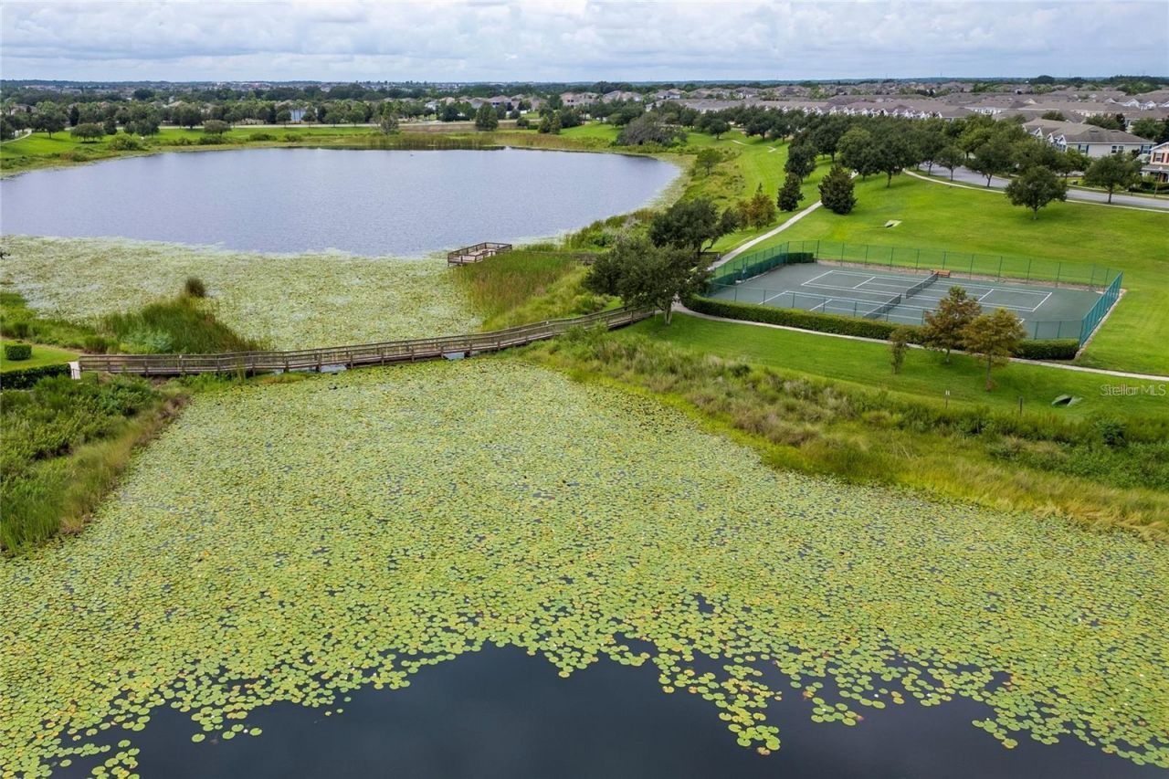 14931 Porter Rd, Winter Garden, FL 34787 Photo