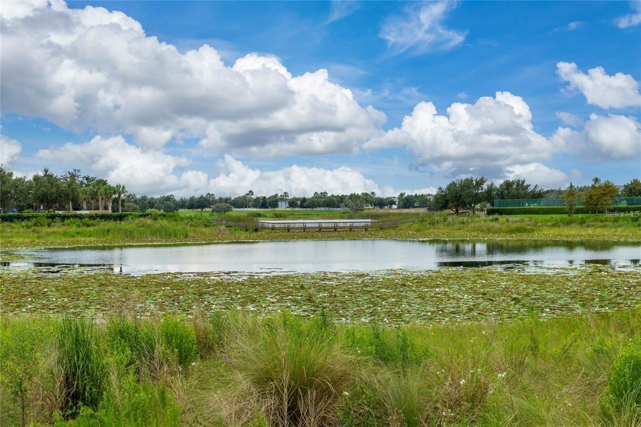 14931 Porter Rd, Winter Garden, FL 34787 Photo