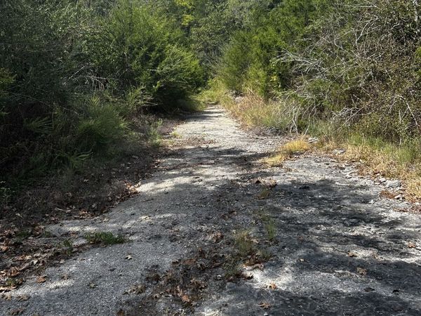 0 Craig Moore Rd , Lewisburg, TN 37091