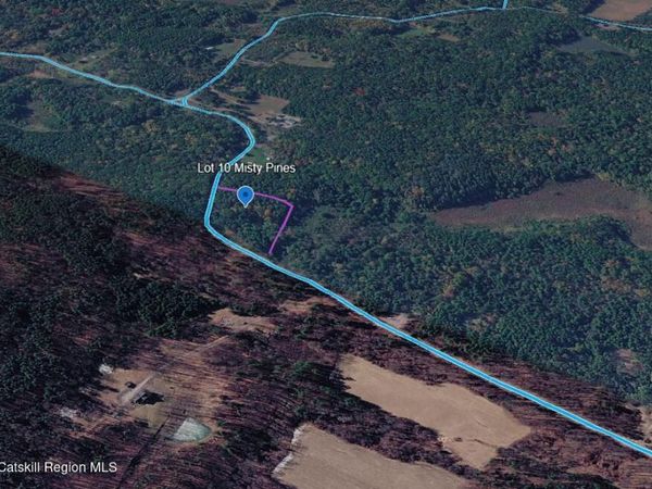 Lot 10 Co Rd 51 , New Baltimore, NY 12124