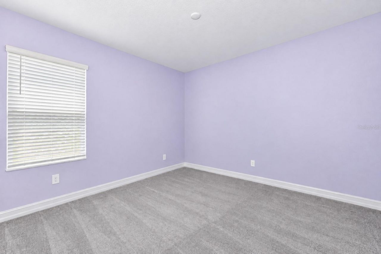 18342 Serene Lake Loop, Lutz, FL 33548 Photo
