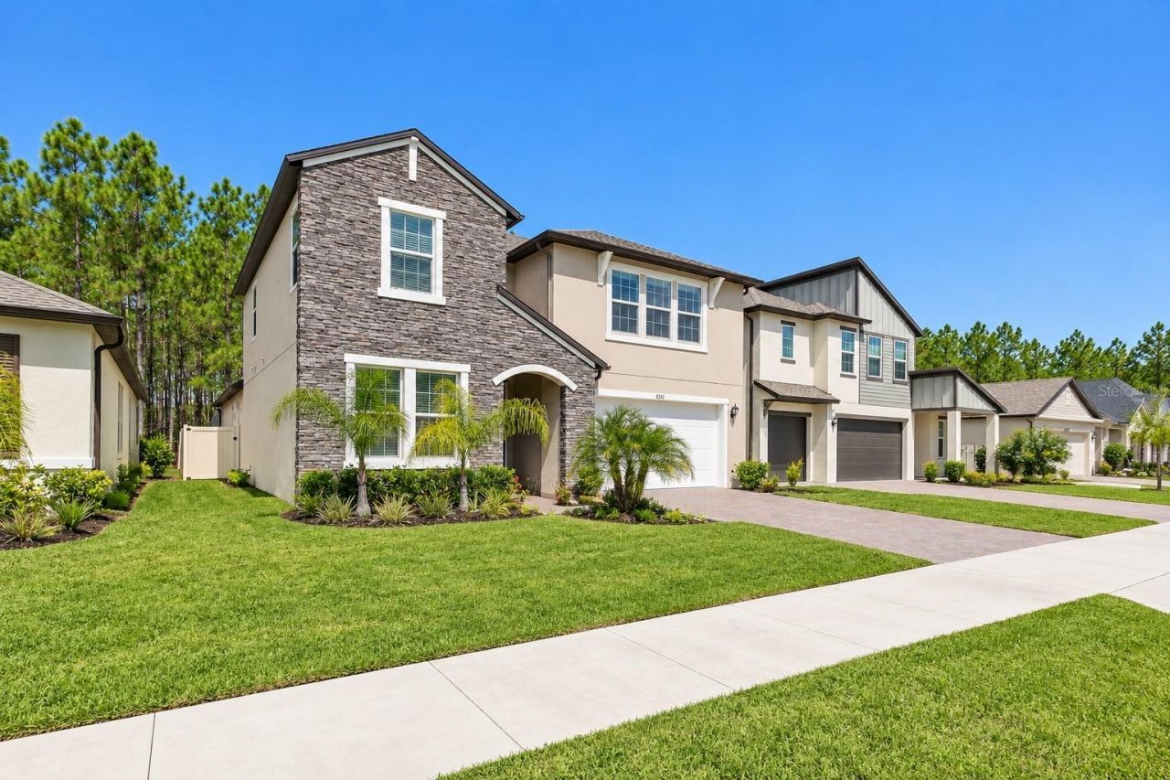 18342 Serene Lake Loop, Lutz, FL 33548 Photo