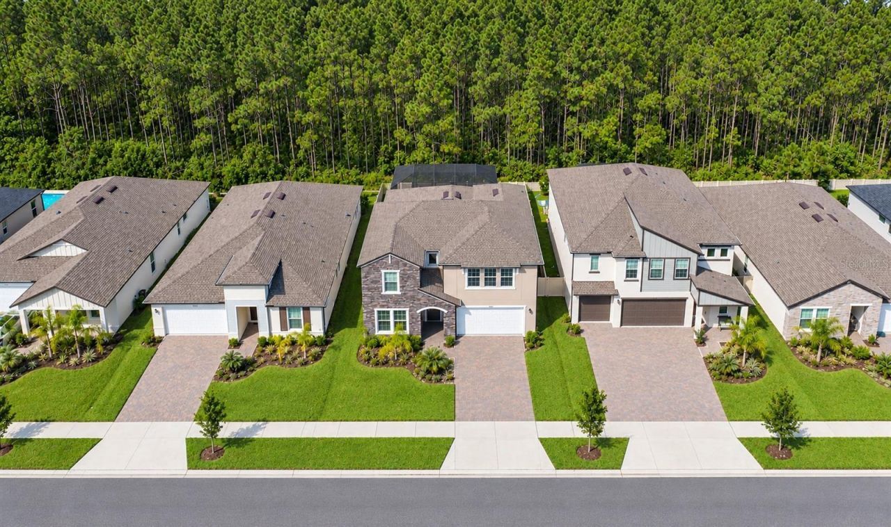 18342 Serene Lake Loop, Lutz, FL 33548 Photo