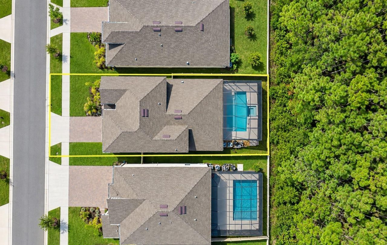 18342 Serene Lake Loop, Lutz, FL 33548 Photo