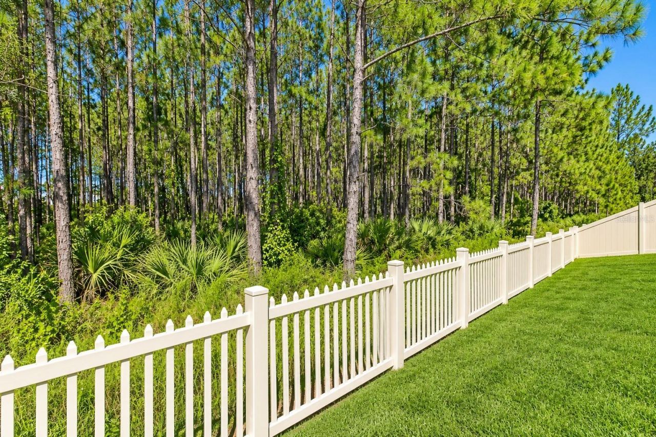 18342 Serene Lake Loop, Lutz, FL 33548 Photo