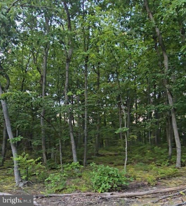 0 CUMBERLAND HIGHWAY , NEWBURG, PA 17240
