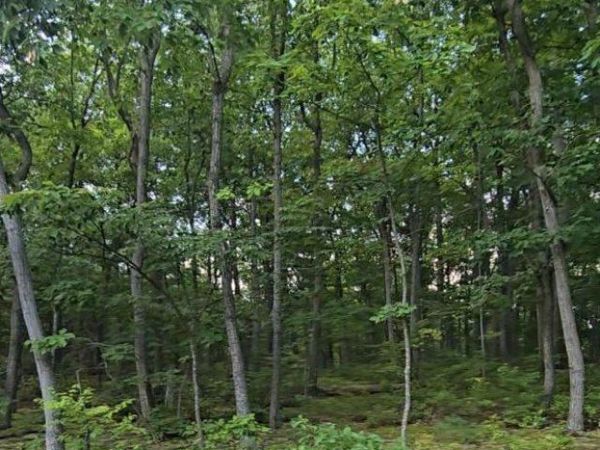 0 CUMBERLAND HIGHWAY , NEWBURG, PA 17240