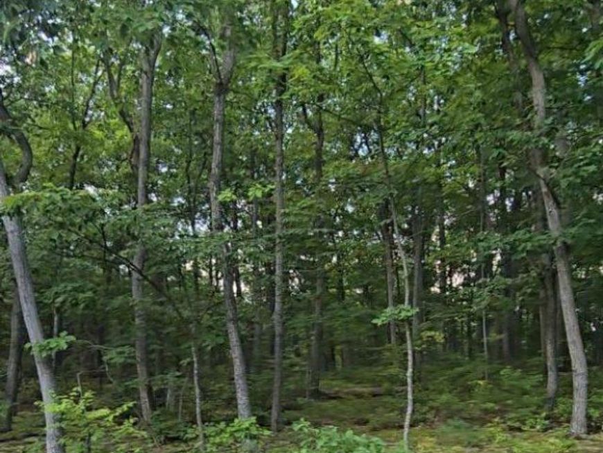 0 Cumberland Highway , Newburg, PA 17240 Main Photo