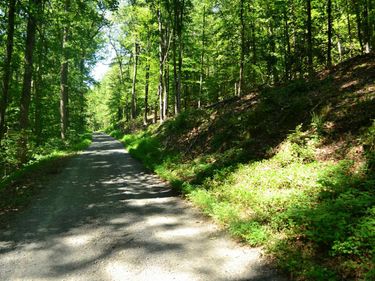 TBD DAMON RD , Schuyler, VA 22969