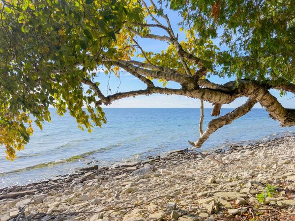 TBD 9.5 Road, Fairbanks Twp, MI 49835