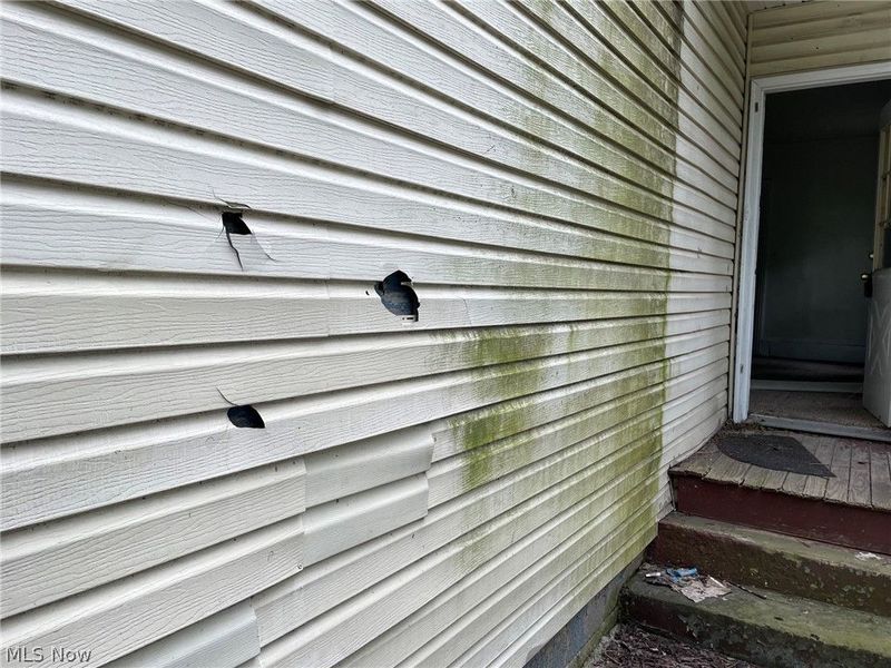 8018 Platt Avenue, Cleveland, OH 44104 Photo 2