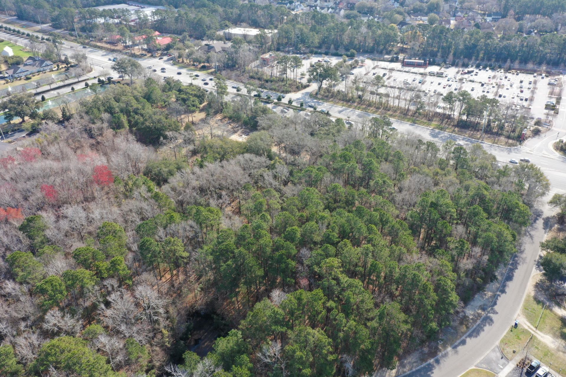 3284 N Highway 17  Photo 6
