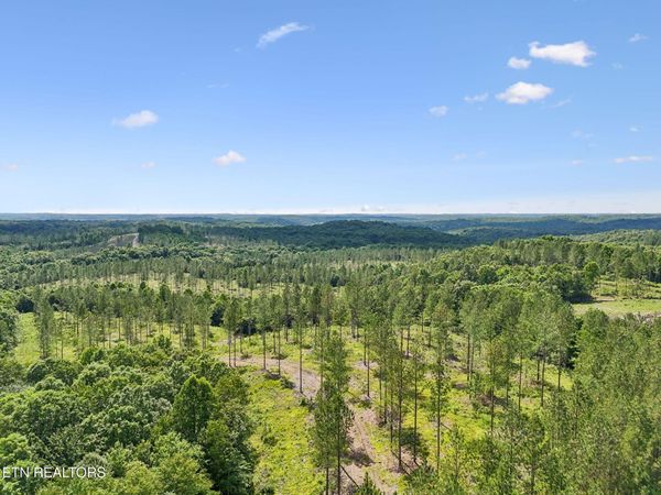 Sheep Ranch Rd, Robbins, TN 37852