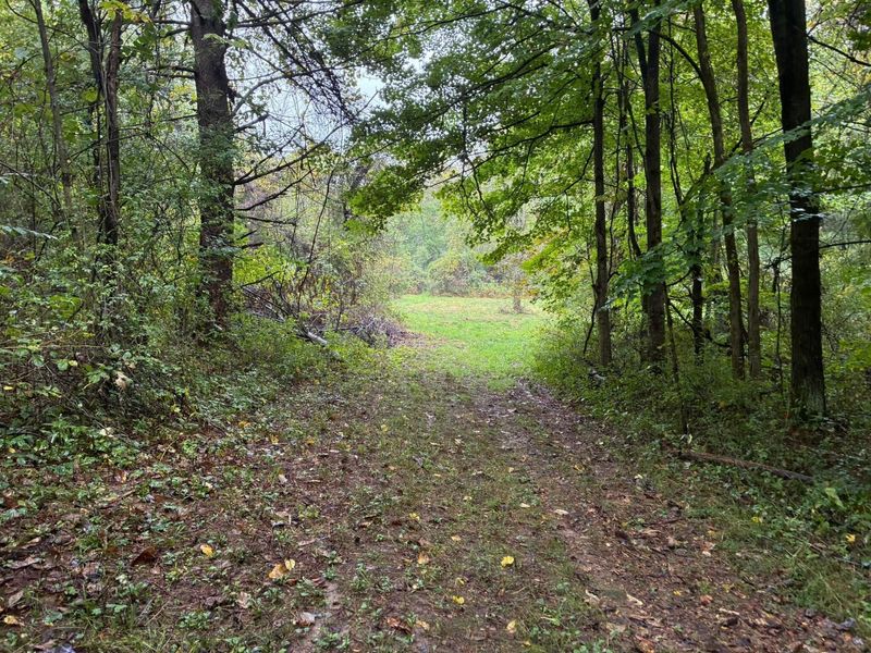 13500 Ulery Road, Sunbury, OH 43074 Photo 15