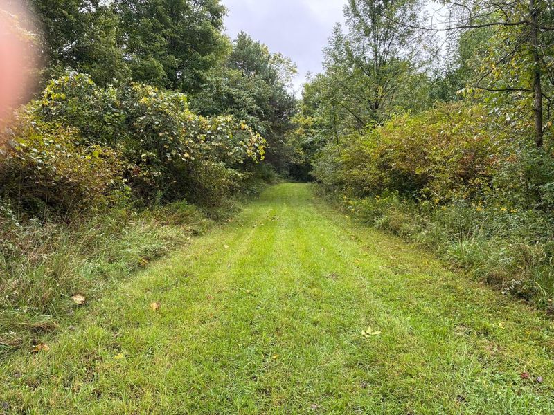 13500 Ulery Road, Sunbury, OH 43074 Photo 2