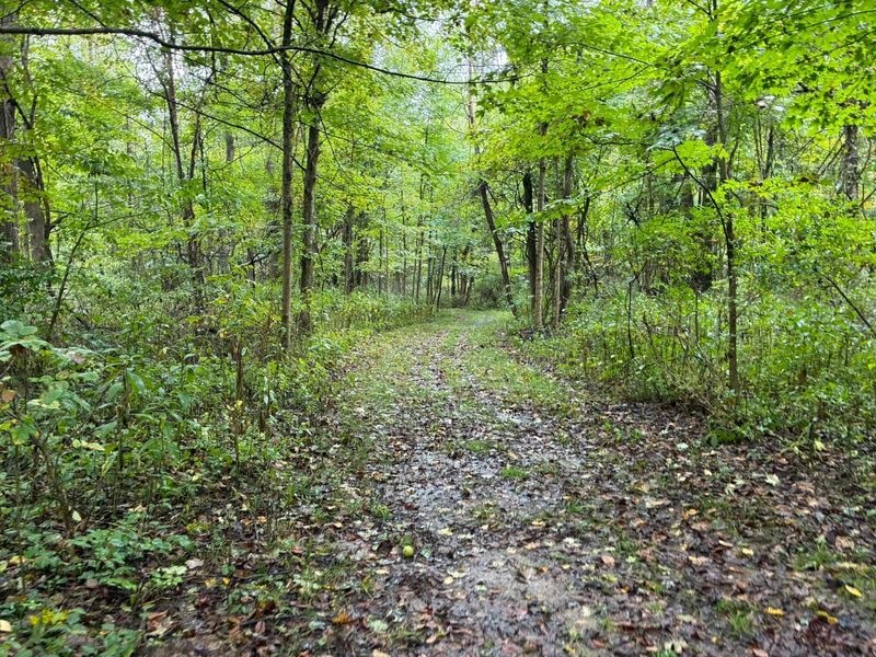 13500 Ulery Road, Sunbury, OH 43074 Photo 22