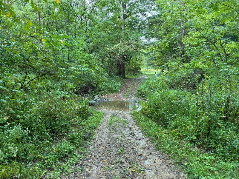 13500 Ulery Road, Sunbury, OH 43074 Photo 30