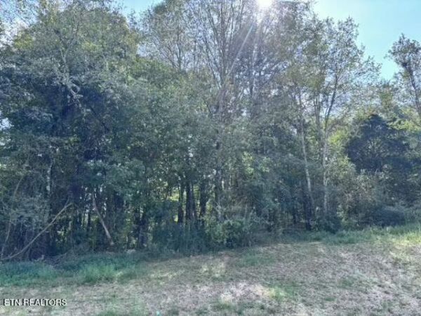 Decatur Pike, Athens, TN 37303