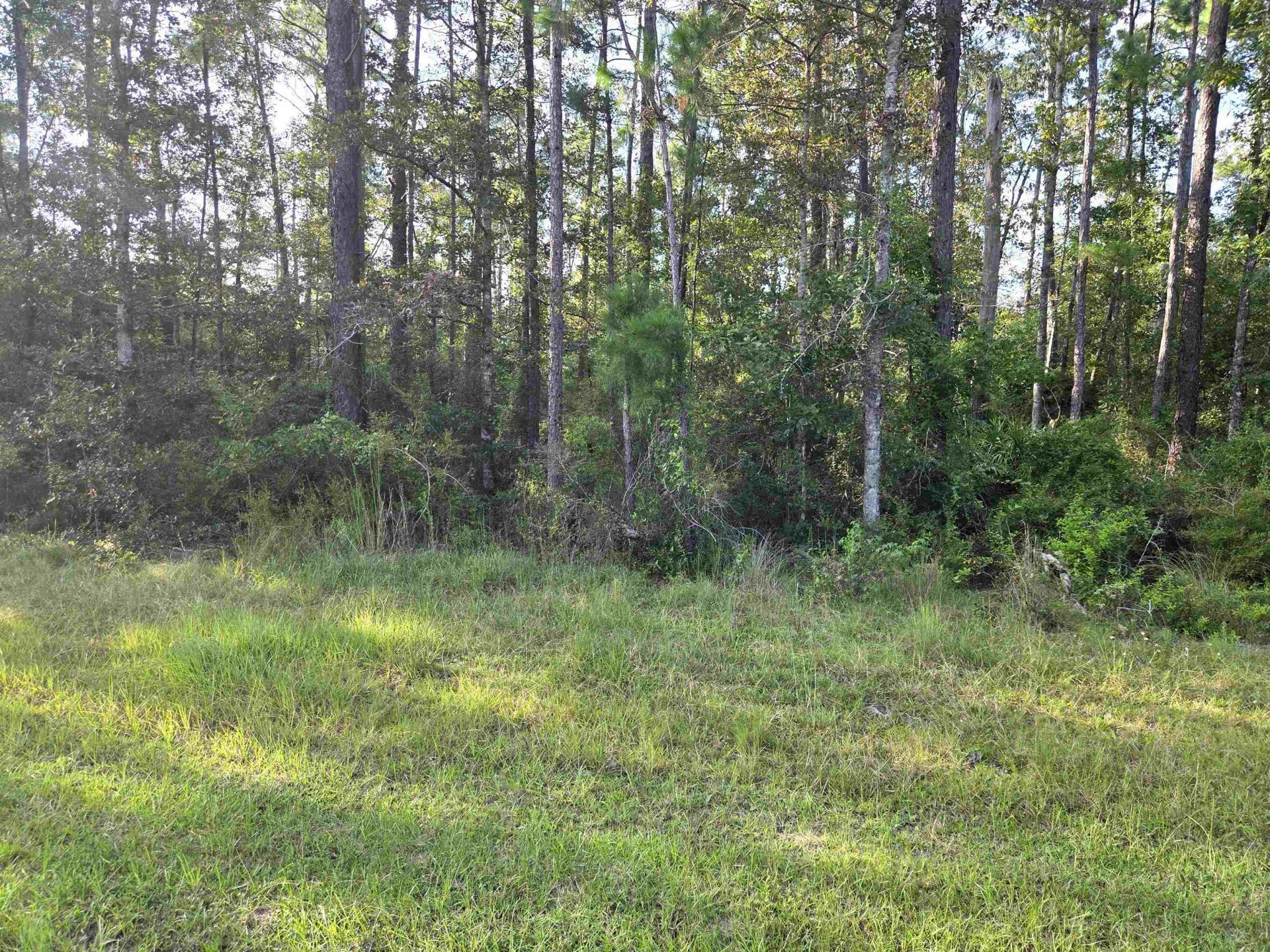 Xxx Cr 333, Lot #Lots 20, 21, 22, Bristol, FL 32321 Main Photo