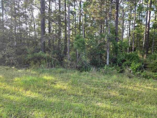 xxx CR 333, Unit Lots 20, 21, 22, Bristol, FL 32321