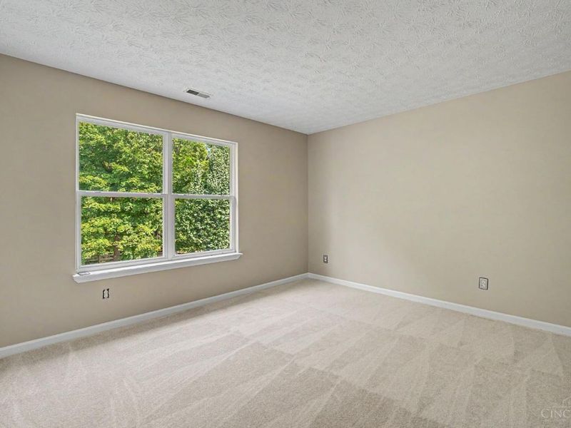 13 Wooded Ridge Drive, Batavia Township, OH 45102 Photo 25