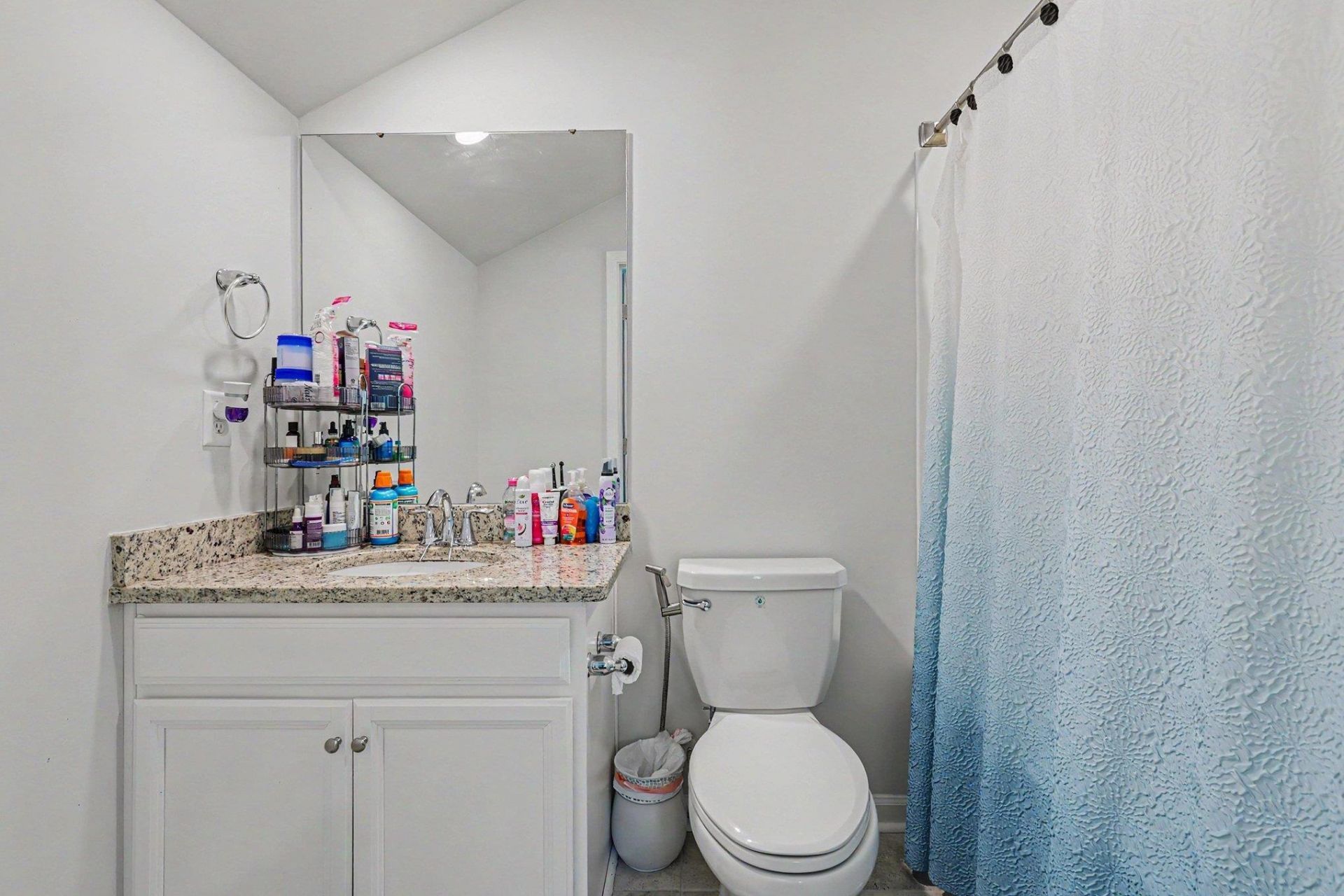 2439 Blue Crane Circle Photo 26