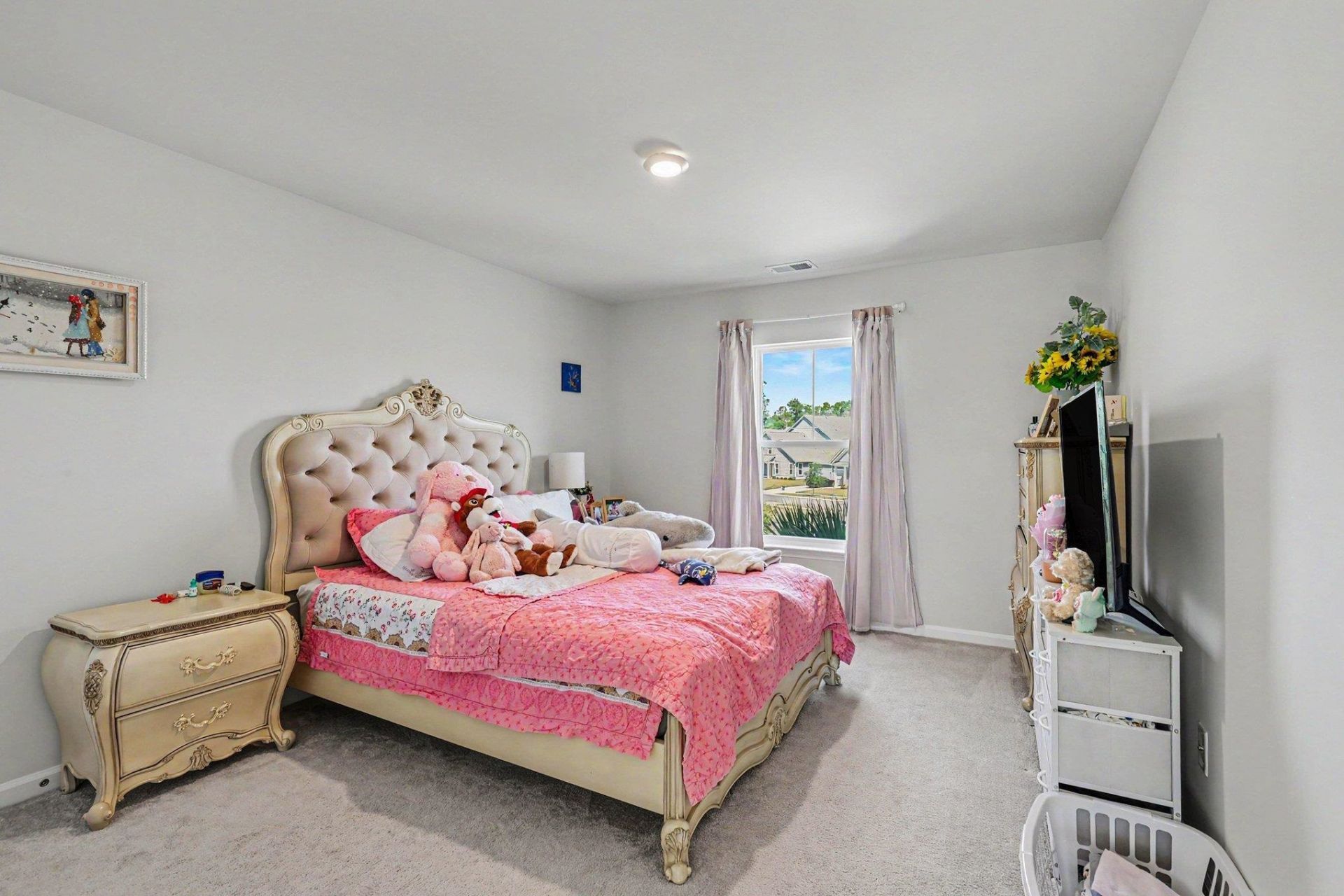 2439 Blue Crane Circle Photo 27