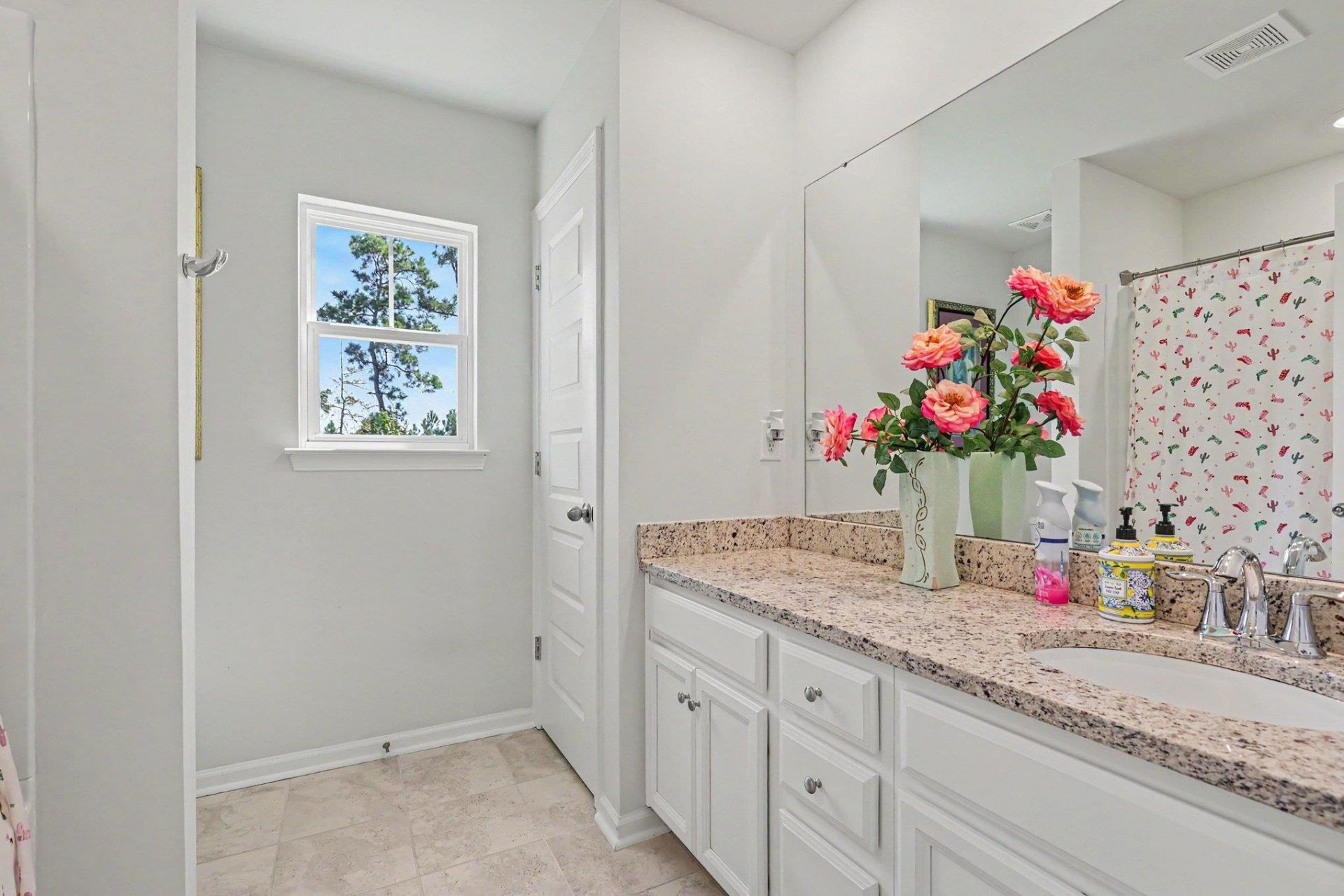 2439 Blue Crane Circle Photo 33