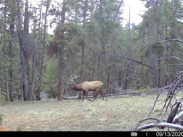 Ten High Lane , Alma, CO 80420