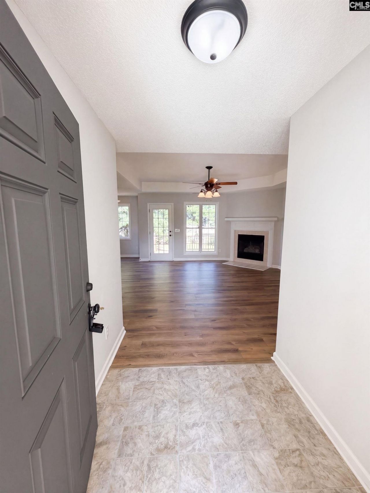 238 Colony Lakes Drive  Photo 10