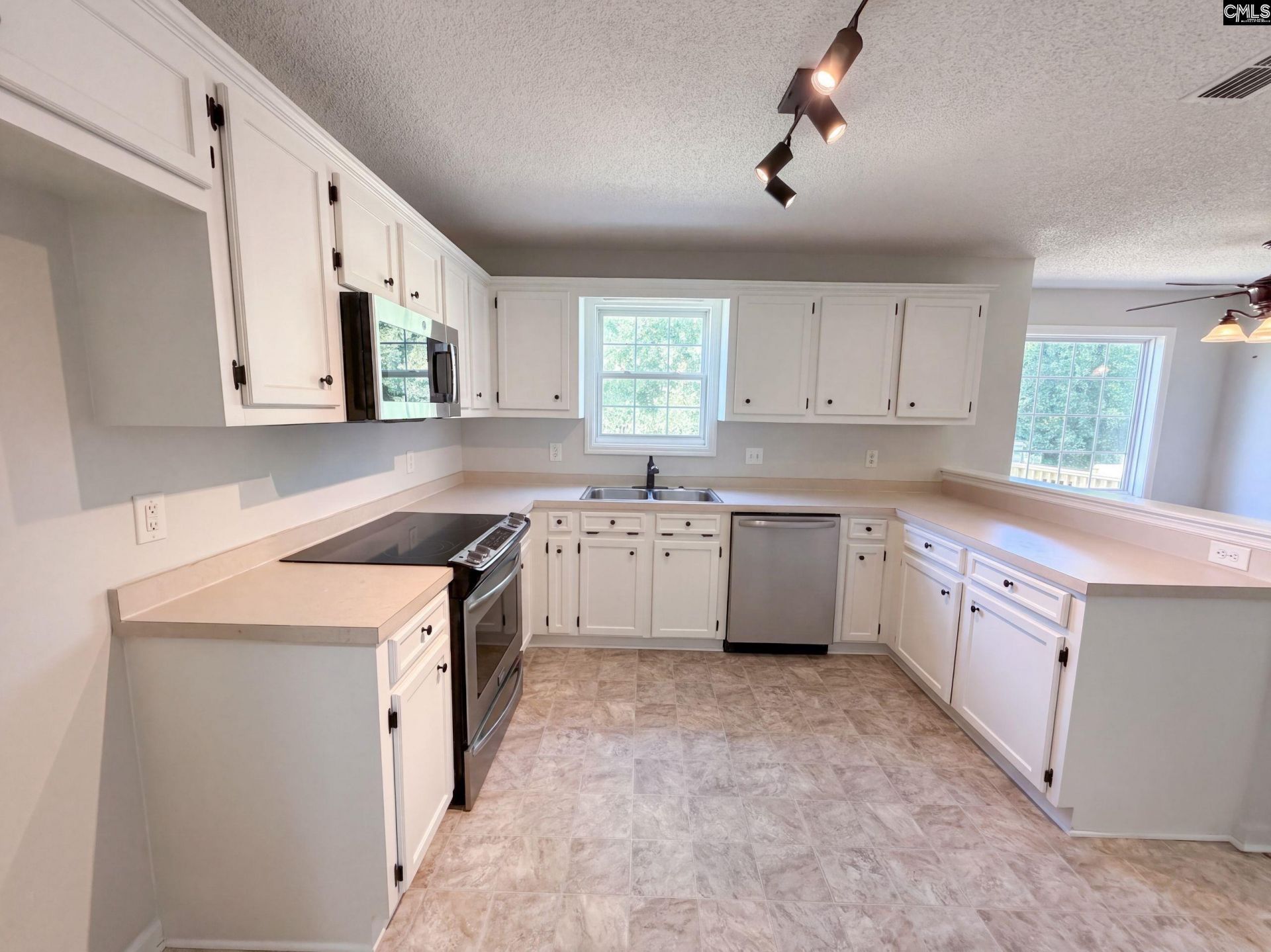 238 Colony Lakes Drive  Photo 6