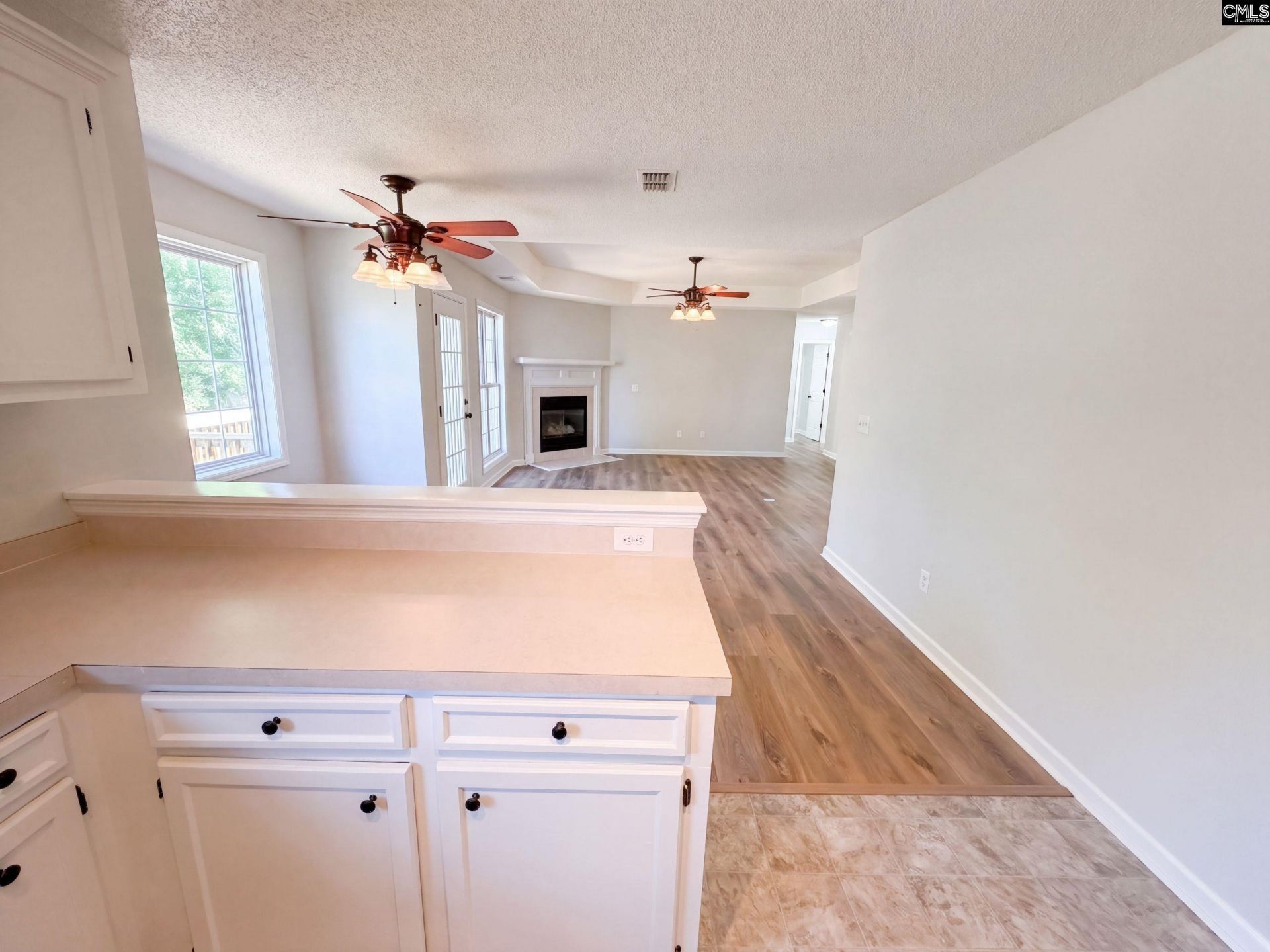 238 Colony Lakes Drive  Photo 7