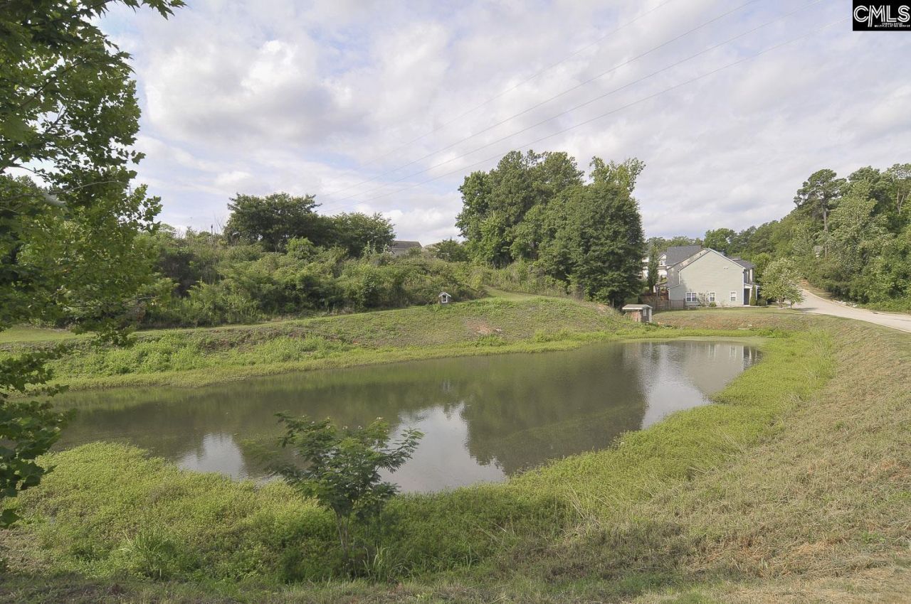 209 Northwood Street Photo 41
